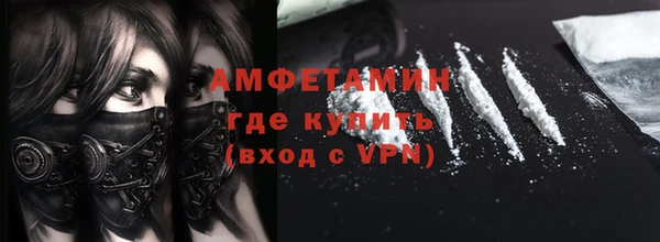 прущие грибы Беломорск