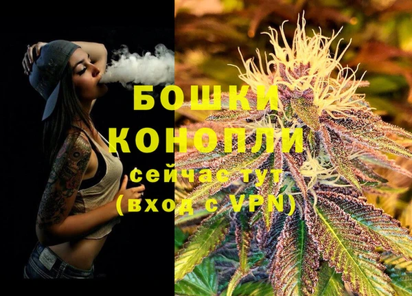 соль курить ск Богородск