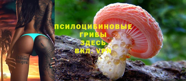 соль курить ск Богородск